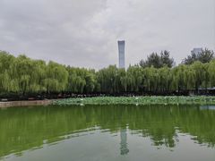 -团结湖公园