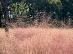 -昆山城市生态森林公园