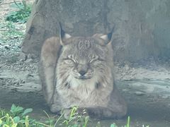 -杭州野生动物世界