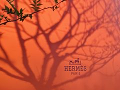 -深圳湾万象城(南山店)