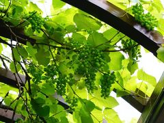 -如家酒店·neo(北京传媒大学西门传媒地铁站店)