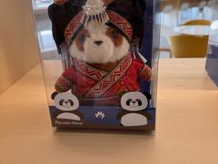 -广西规划馆