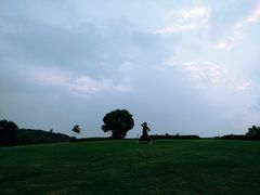 -上海佘山世茂艾美酒店