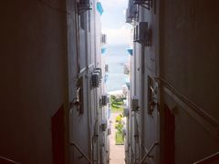 -放鸡岛生态旅游国际度假区