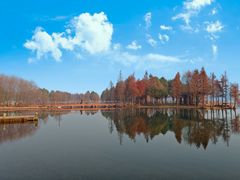 -贡湖湾湿地公园