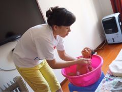 -爱贝佳月嫂公司(沈阳分公司)