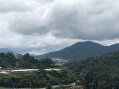 -金马仑薰衣草花园(Cameron Lavender)