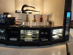 -虹桥机场国航贵宾室v8