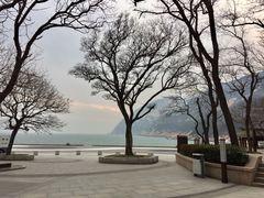 -青岛崂山太清宫