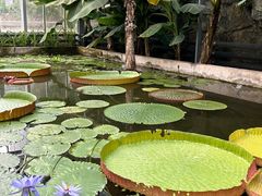 -国家植物园南园