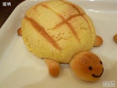 小乌龟-多乐之日(五道口店)
