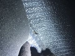 -24小时补胎米其林轮胎