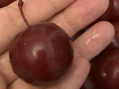 -中国浦东干部学院