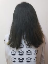 -蚂蚁造型俱乐部