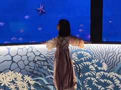 -沈阳海洋探索中心