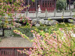 -成都南湖公园