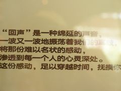 -Echo回声黑胶唱片咖啡馆
