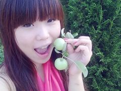 -鲁山国家森林公园