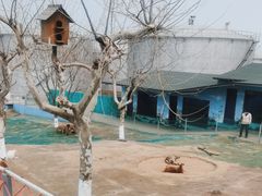 -西霞口神雕山野生动物世界