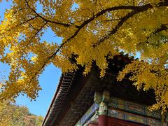 -红螺寺