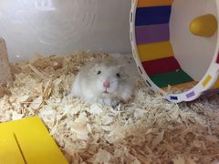 -龙猫仔乐园(惠福东路店)