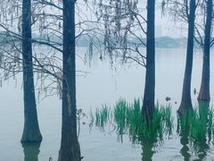 -海珠湖公园