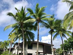 -石梅湾艾美度假酒店