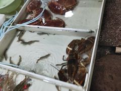 -毕家疃综合市场