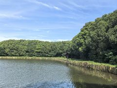 -广富林郊野公园