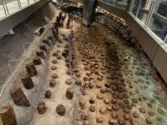 -元代水闸遗址博物馆