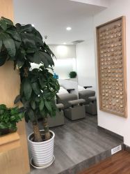 大厅-THE LOG SALON 记录