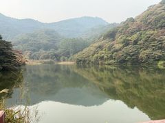 -黄埔油麻山森林公园