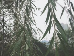 -后襄河公园