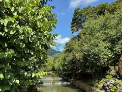 -广州白江湖森林公园