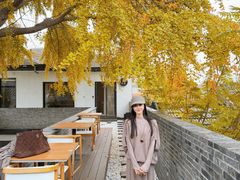 -自如ZSPACE四合院艺术餐厅