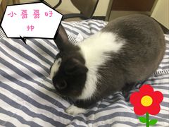 -美联众合动物医院·24h转诊中心