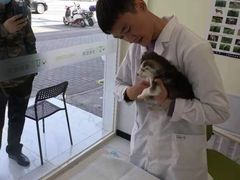-艾吉宠物医院·疑难杂症转诊中心·猫友好(碧江路院)
