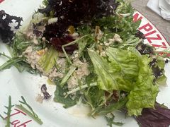 -Tubestation站点比萨(五道营店)