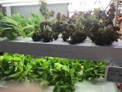 -盒马鲜生(大成店)