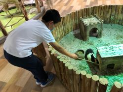 点击看大图 -七巧国萌宠乐园(龙湖天街店)