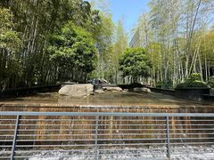 -徐家汇源景区-衡山公园