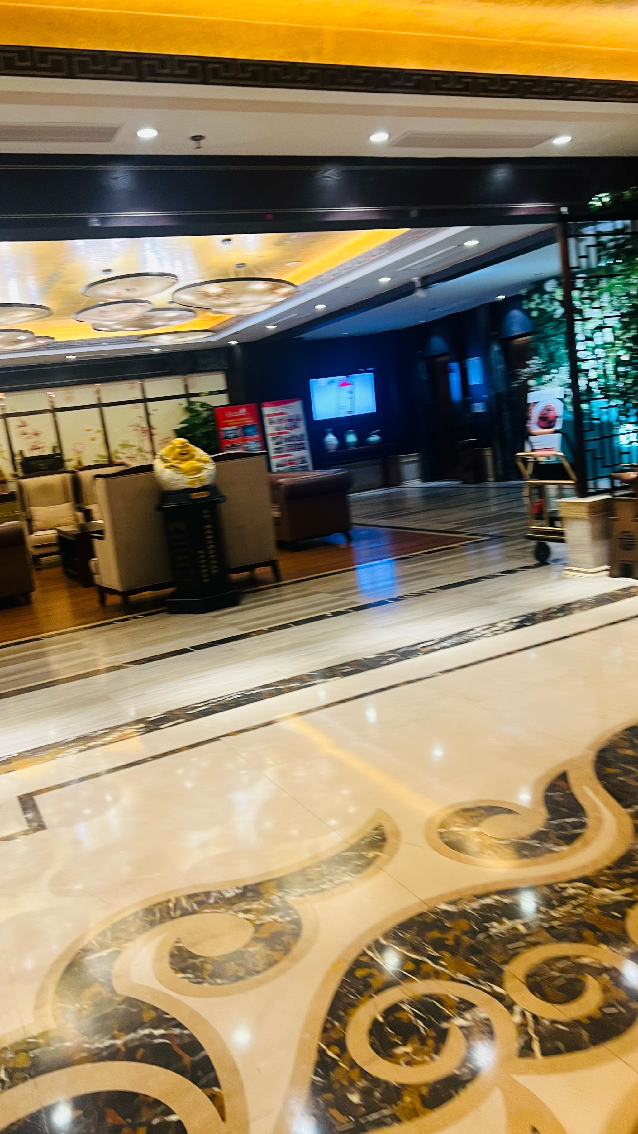 0元玩转这座城 巢湖南凤巢大酒店,给人