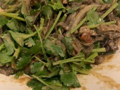 -大眼锅贴饺子(河西店)