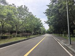 -西昌邛海湿地