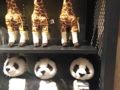 -珠海横琴国家地理探险家中心(创新方)