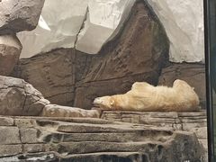 -海合安武汉极地海洋公园