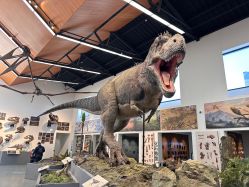 -禧园Joyous Garden ·宴会厅(禧园店)