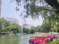 -万泉公园