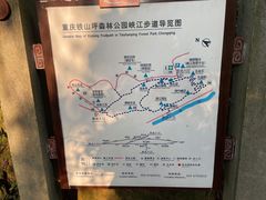 -铁山坪森林公园