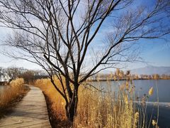 -野鸭湖国家湿地公园